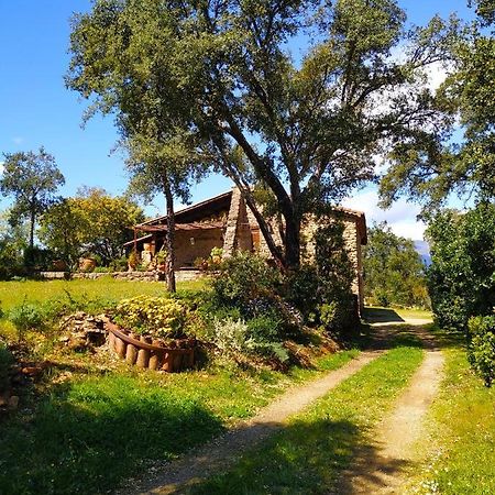 La Simona Casa Rural Perales del Puerto Dış mekan fotoğraf