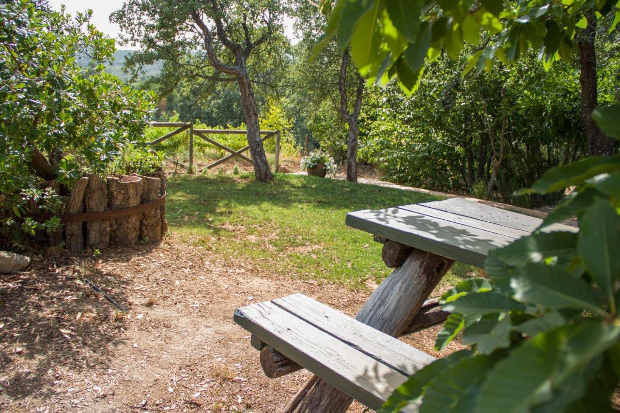 La Simona Casa Rural Perales del Puerto Dış mekan fotoğraf