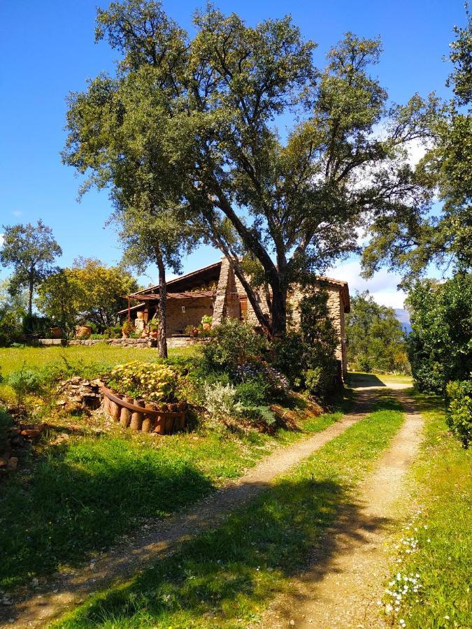 La Simona Casa Rural Perales del Puerto Dış mekan fotoğraf