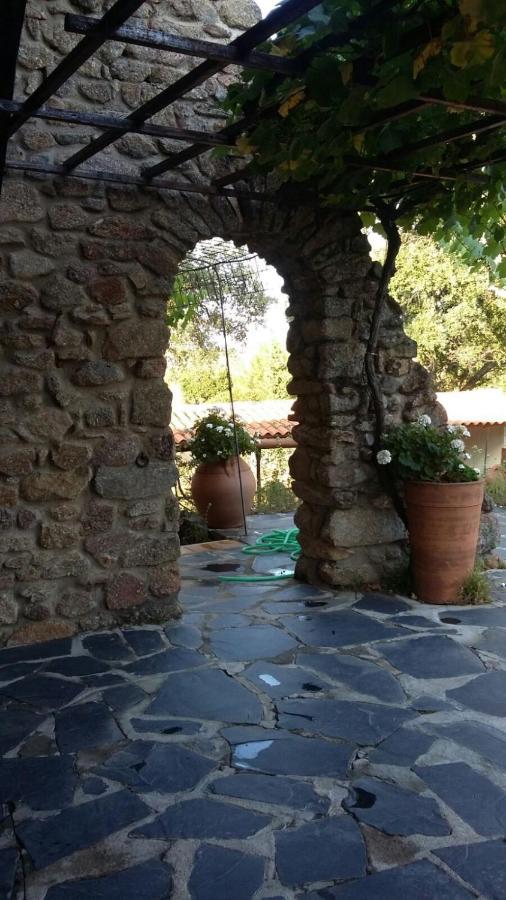 La Simona Casa Rural Perales del Puerto Dış mekan fotoğraf
