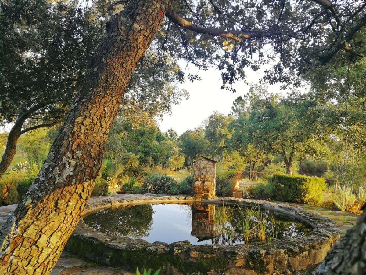 La Simona Casa Rural Perales del Puerto Dış mekan fotoğraf
