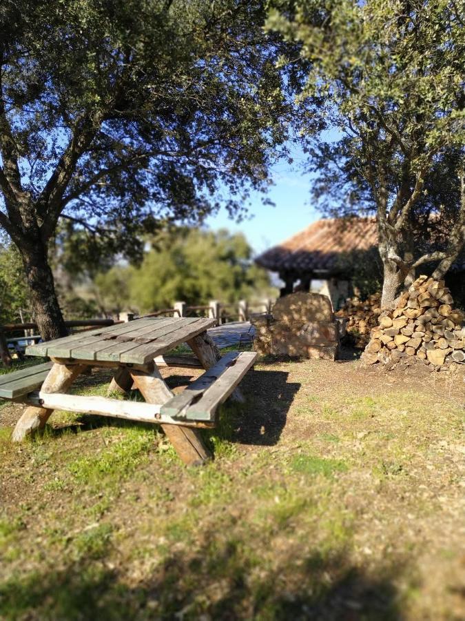 La Simona Casa Rural Perales del Puerto Dış mekan fotoğraf