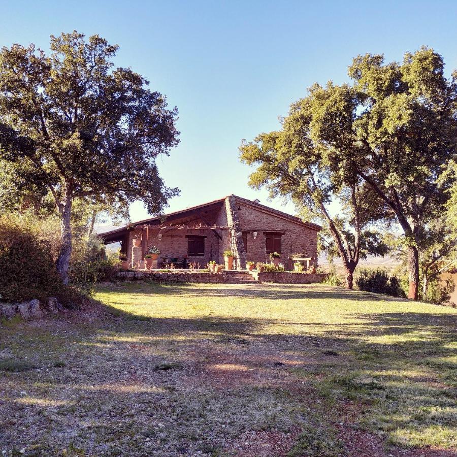 La Simona Casa Rural Perales del Puerto Dış mekan fotoğraf