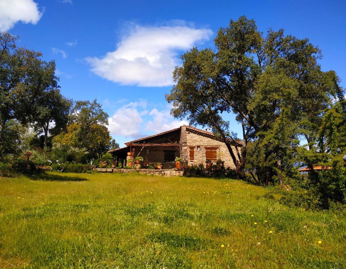 La Simona Casa Rural Perales del Puerto Dış mekan fotoğraf