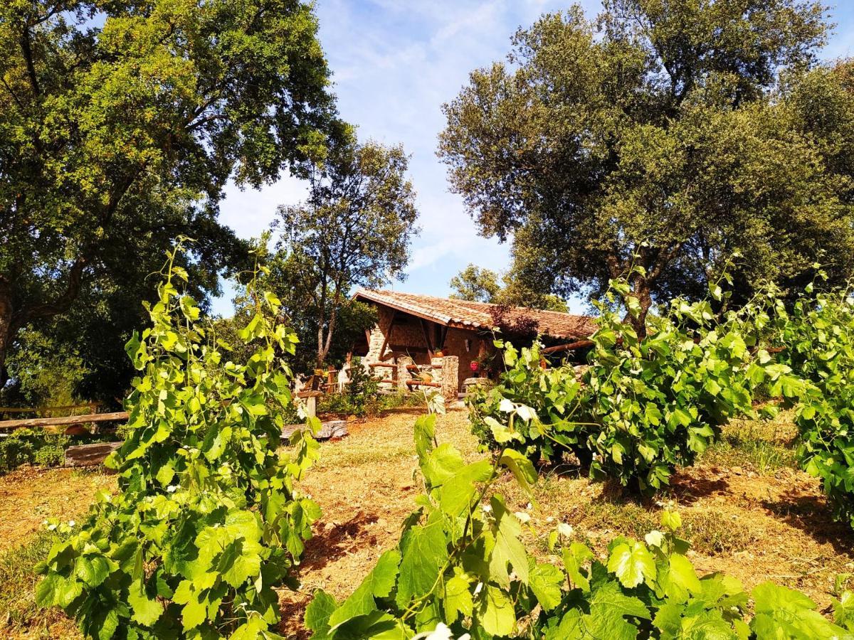 La Simona Casa Rural Perales del Puerto Dış mekan fotoğraf